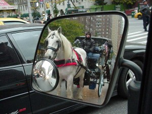 Horses and Vans both stop in traffic